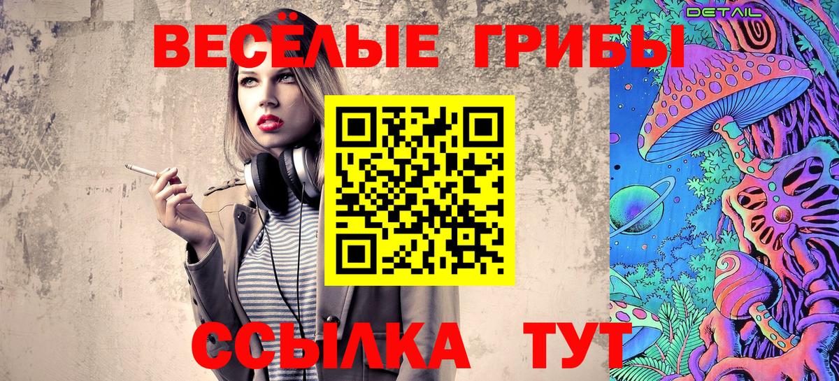 Псков  Галлюциногенные грибы мицелий  Вход с VPN 