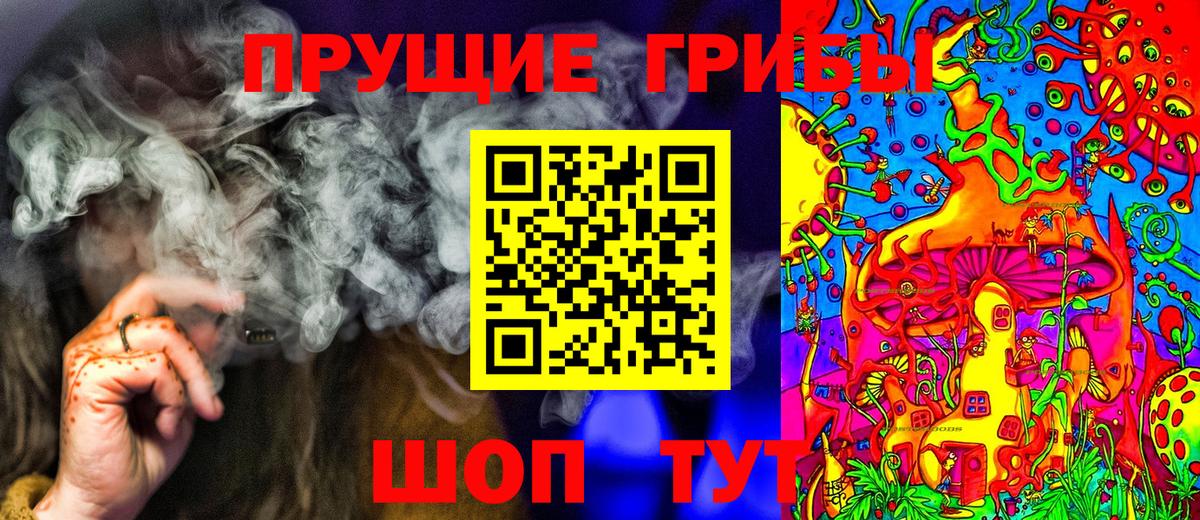 Галлюциногенные грибы Psilocybe Псков